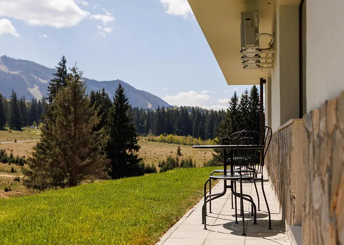 Mountain View - Poiana *